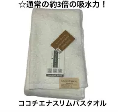 Item thumbnail for item c910b038-d295-4f6a-88e0-a63f3e52ed30