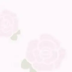 【画像欄ご確認ください♡】姫乃様専用