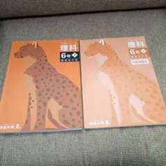 manapua様 リクエスト 2点 まとめ商品