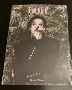 Stray Kids DO it Accordion Ver Bang Chan