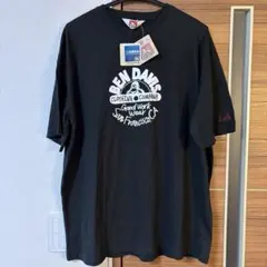 Item thumbnail for item 1a21d056-df82-46df-8538-d9612b33eddb