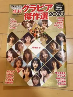 週刊プレイボーイ 年刊グラビア傑作選 2020