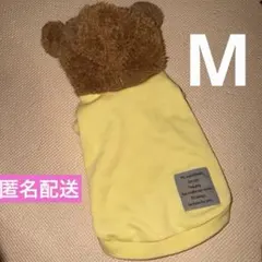 Item thumbnail for item 805377b2-c721-435f-a04a-ca9cb29d6cf7