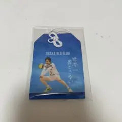 2025年最新】山本智大 大阪ブルテオンの人気アイテム - メルカリ