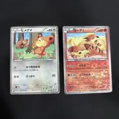 ポケモンカード　ポケキュンコレクションのサムネイル