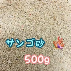 天然サンゴ砂 珊瑚砂 さんご砂 ろ材 海水水槽 ヤドカリ グッピーのサムネイル
