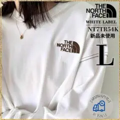 【日本未入荷】ノースフェイス　ロングTシャツ　男女兼用OK Lサイズ