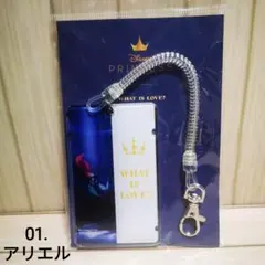 【新品】ディズニー プリンセス展 ICカードケース 定期入れ 1.アリエル