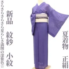夏着物 紗 紋紗 シック 夏物 着物 正絹 U-7196 アンティーク着物 夏着物 紗 ssize ゆったりサイズ 濃紺 水玉