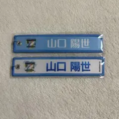 日向坂46 ネームタグキーホルダー　カプセルトイ　山口陽世　2種