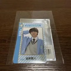 エビライ ランダムグッズ 両面トレカ ICEx 山本龍人