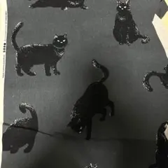 ネコ生地