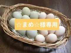 ☆まめ☆様専用　春期限定割引アローカナ　烏骨鶏　平飼いたまごセットのサムネイル