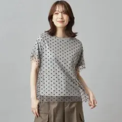 DRESSTERIOR（ドレステリア）　ドットチュールレイヤードTシャツのサムネイル