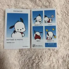 サンリオ ポチャッコ 証明写真風ブロマイド