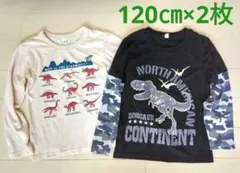 120㎝×2枚　恐竜プリント長袖カットソー