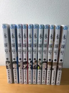 氷の城壁 全巻 セット 1-14巻 阿賀沢紅茶 - メルカリ