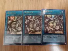遊戯王 英語版 魔法族の里 スーパー 3枚セット CSOC - メルカリ