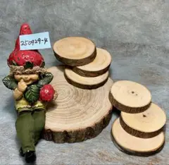 丸太 輪切り 「森の恋人」お試しセット1枚B品 切り株250929-4