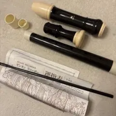 Item thumbnail for item 1adef0f7-17a7-4873-ad79-29826b7ca692