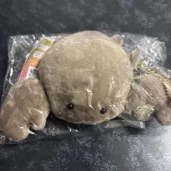 PETANCO CRAB ぺたん子くらぶ　GRAY