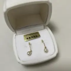 Item thumbnail for item 3eb9fad2-82ba-4bc4-aed2-a4d3534ca6c1