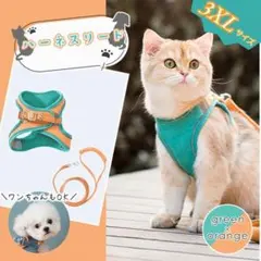 Item thumbnail for item 1916aa30-31d9-4bd8-9739-a138b4ee003e