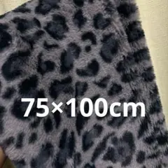 Item thumbnail for item 142e9196-f459-4ec9-a7fa-b25aa528489d