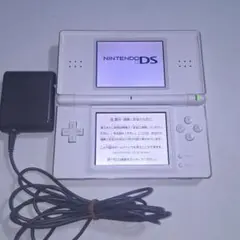 任天堂 DS Lite クリスタルホワイト 純正ACアダプター付