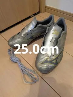 Item thumbnail for item 2a8de2b9-2140-4e2e-bd5b-5ab2ce2a4947