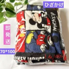 即発送　新品　Disneyミッキー＆ミニークオーターケットフリース毛布