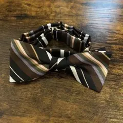 蝶ネクタイ パーティ 前撮り