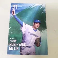 Item thumbnail for item 8351269b-b614-4a54-aeaf-542047382c5b