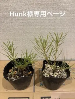 Hunk様専用ページ