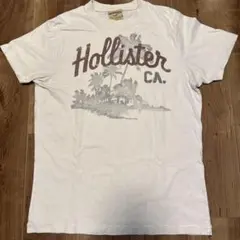 Hollister ホワイト Tシャツ