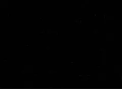 ミラージュ様専用出品13