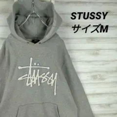 ☆STUSSY☆　プルオーバーパーカー　ビッグ立体ロゴ　グレー系　サイズM　人気