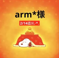 arm*様 専用ページ