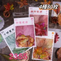 新品❗️葉落成詩シリーズ　PETステッカーシール　コラージュ素材　4種80枚