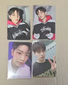 スンミン トレカ