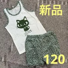 新品　上下セット　ルームウェア　パジャマ　アウトドア　120 女の子　ネコ　猫