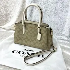 コーチ ショルダーバッグ シグネチャー ベージュ ホワイト F29434