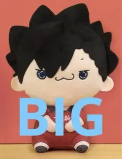 ハイキュー もちぴこ BIGぬいぐるみ 黒尾鉄朗
