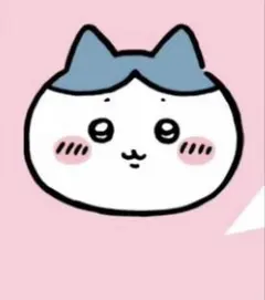 専用ページ