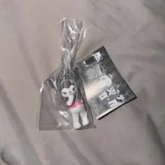 サンリオキャラクターズ ミニチュアチャーム～ライブキャラクター クロミ