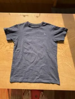 ノースフェイス　monkey magic tee 支援Ｔシャツ