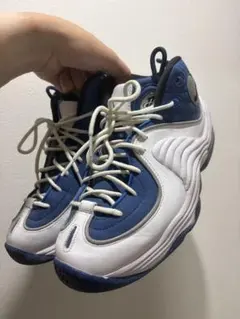 あ*ら様 Nike AIR ZOOM FLIGHT 5 ズームフライト5 25. - メルカリ