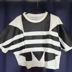 クロップドtシャツ