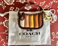 コーチ　COACH バッグチャーム　小物入れ　　新品未使用