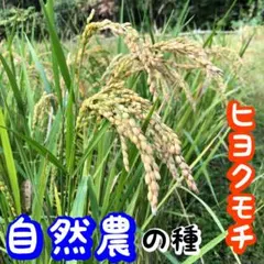 フク様 リクエスト 3点 まとめ商品